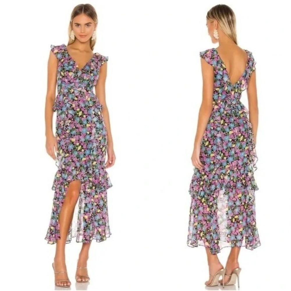 AMUR Floral Silk Ruffle Maxi Dress Evita Anemone Women Size 4 Party Cocktail